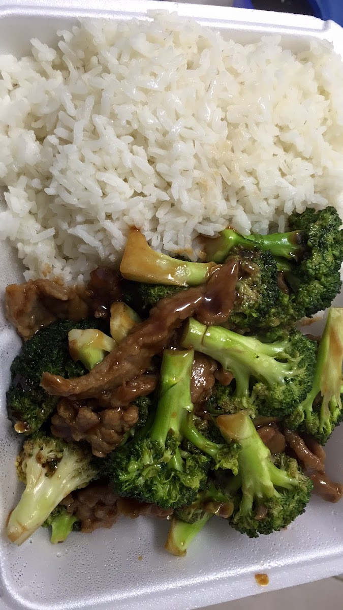 New Spring Garden Photos 2